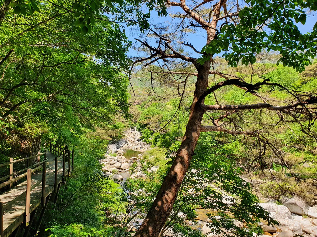 홍류동 계곡과 소리길