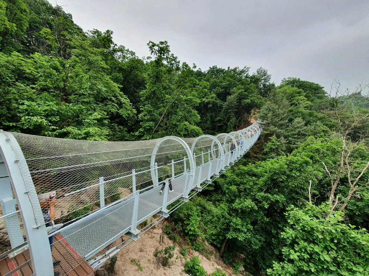 절벽을 이어주는 구름다리