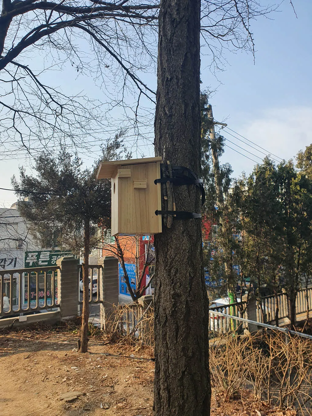 아파트의 나무에 설치한 새집