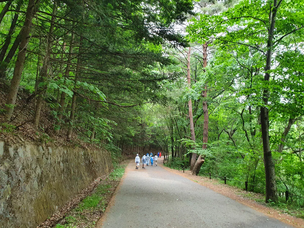 덕유산 국립공원 무주 구천동 관광지구에서 탐방안내소로 이어지는 길