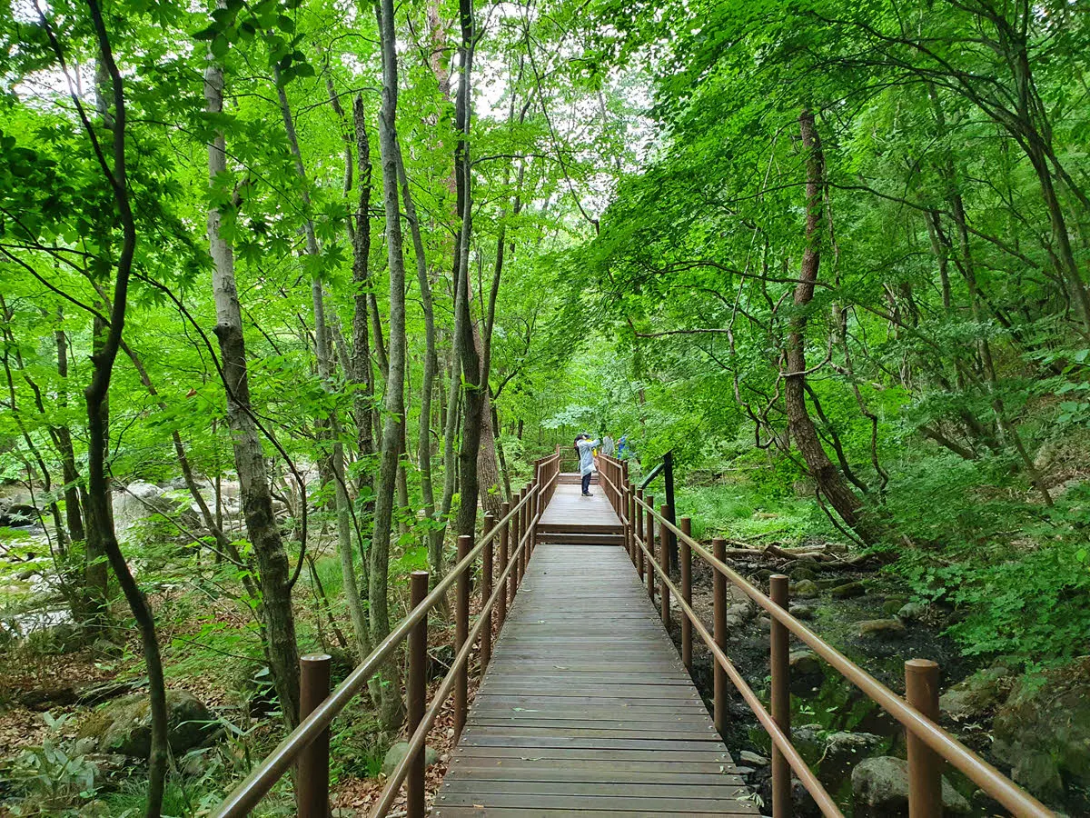 구천동 계곡을 끼고 걷는 어사길의 시작