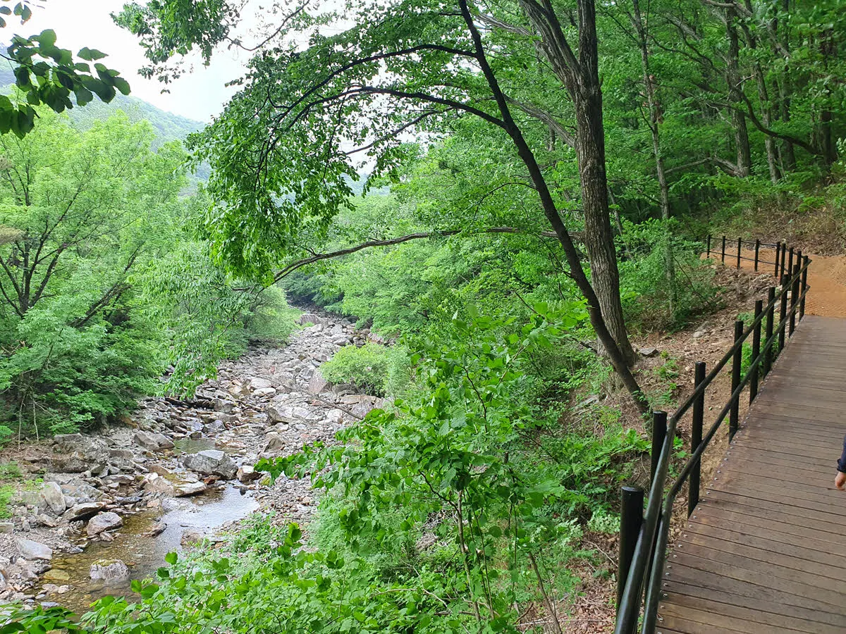 많이 말라 있는 구천동 계곡