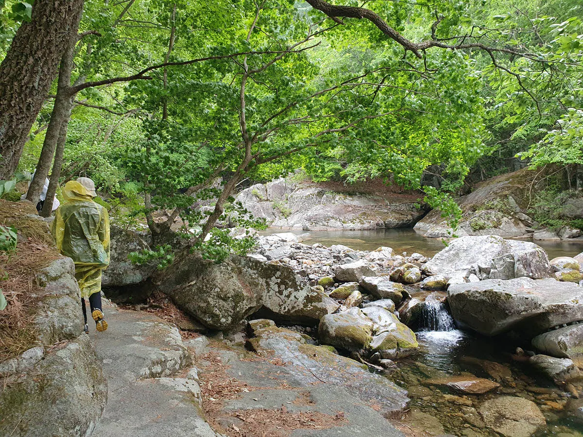 길인 듯 아닌 듯
