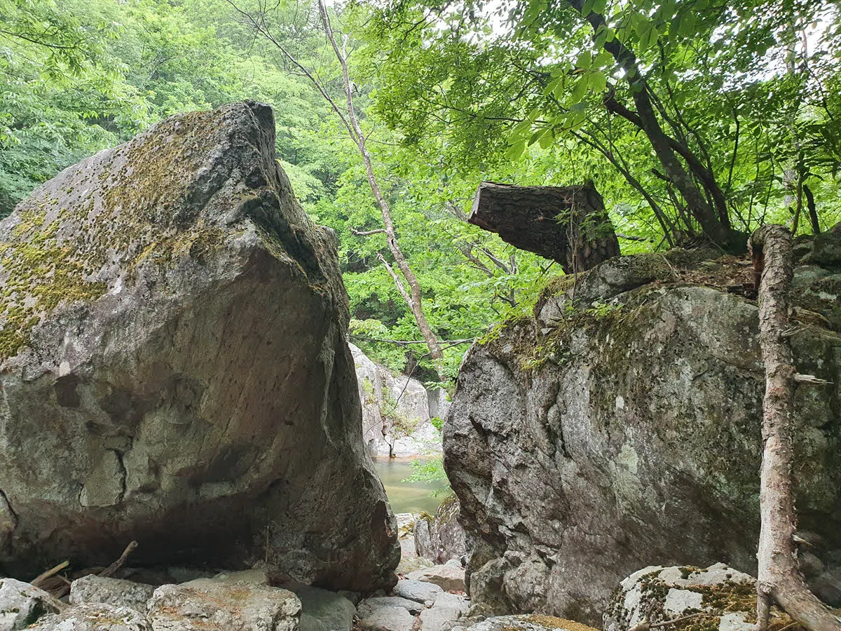 하여간 무슨 문이었다. (지혜의 문)