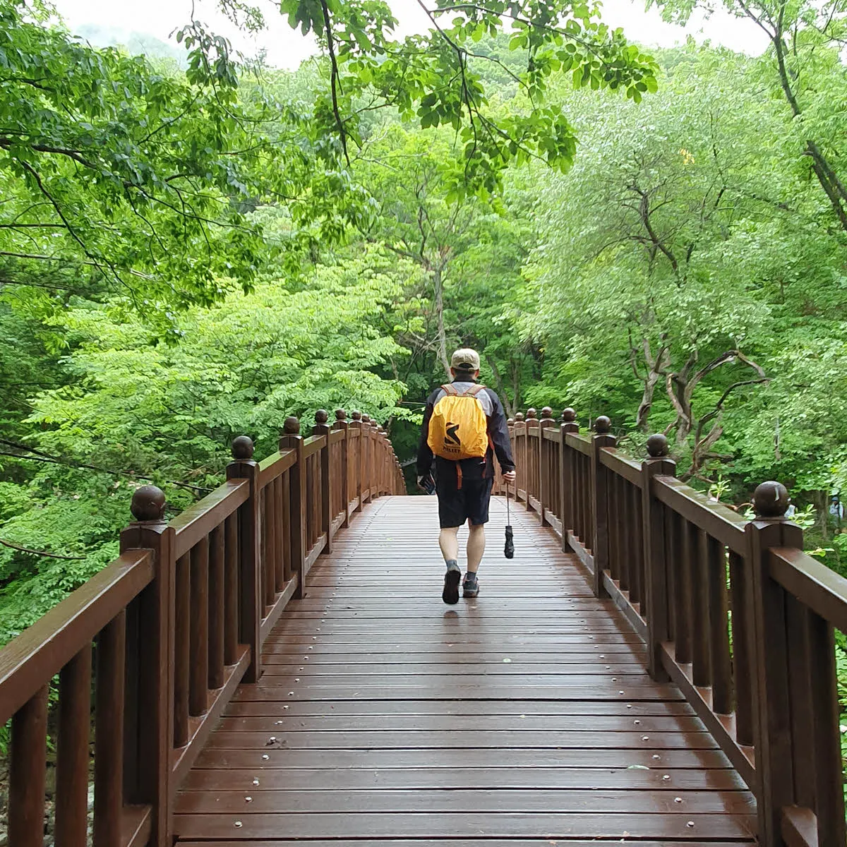 덕유산 우중 트래킹