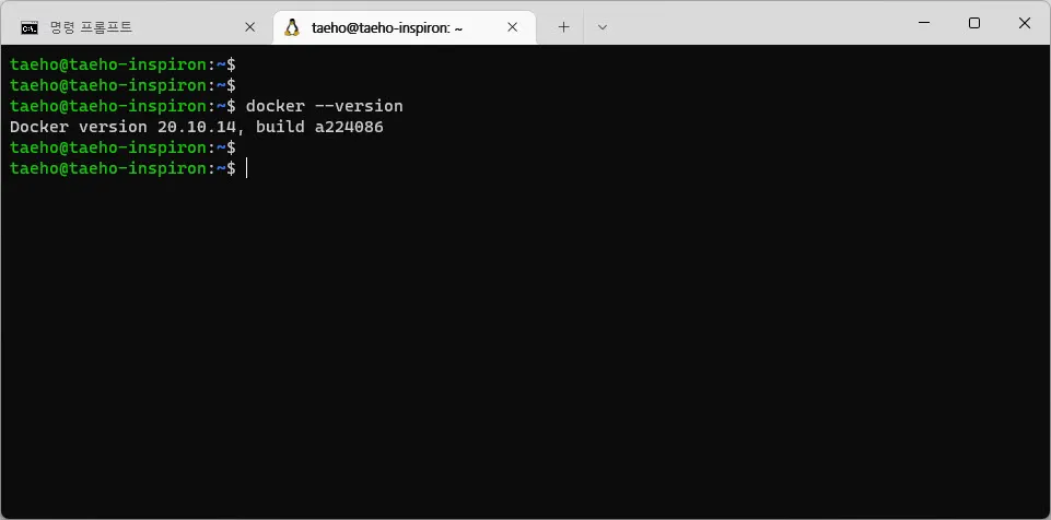 Docker Desktop이 WSL2의 Ubuntu 리눅스에 자동으로 설치한 docker 패키지