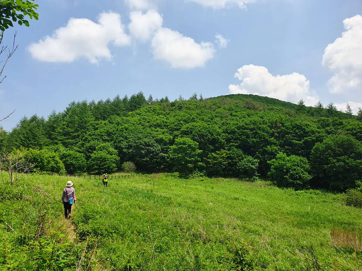 대덕산