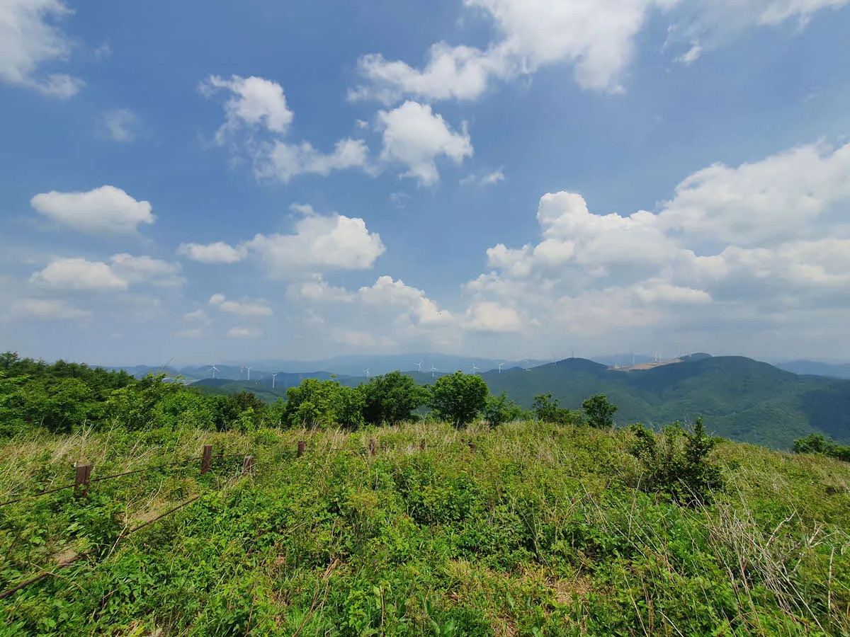 대덕산에서 바라본 매봉산 바람의 언덕