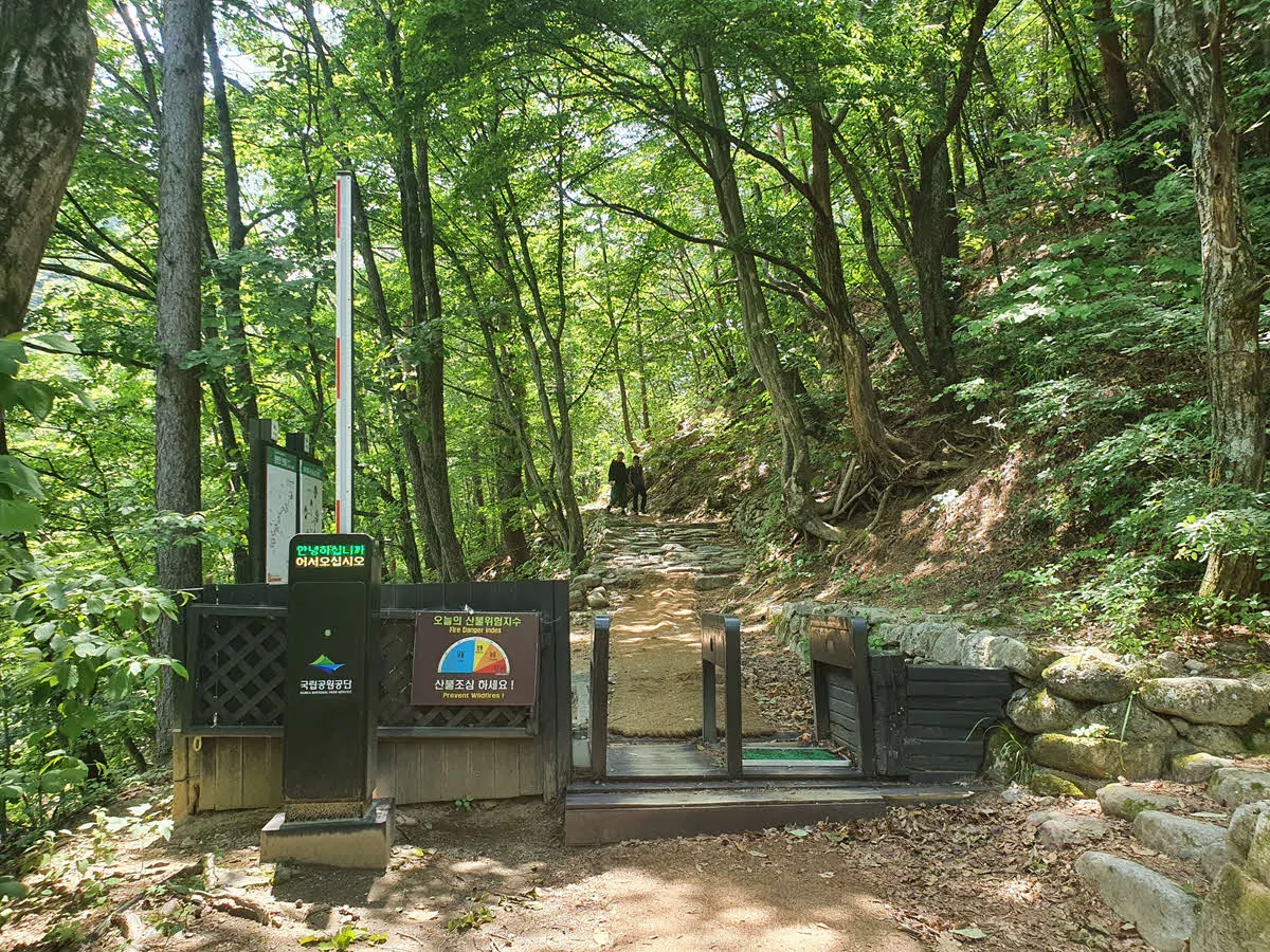 오대산 소금강 계곡 트래킹