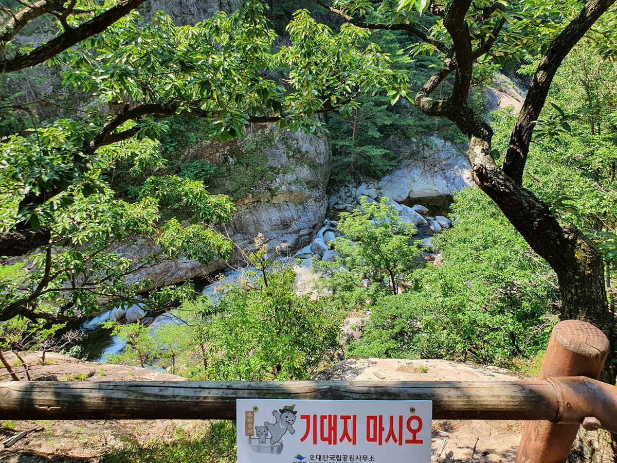 오대산 소금강 계곡 
