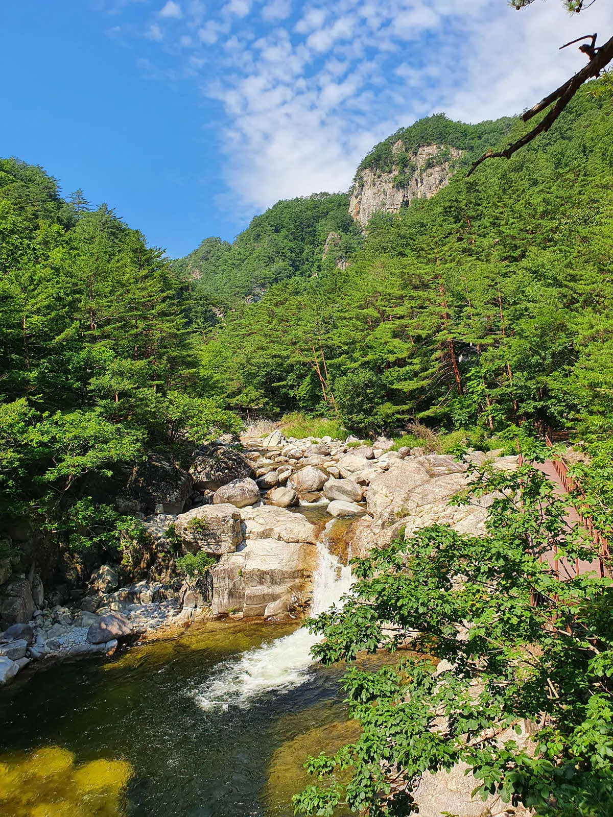 오대산 소금강 계곡