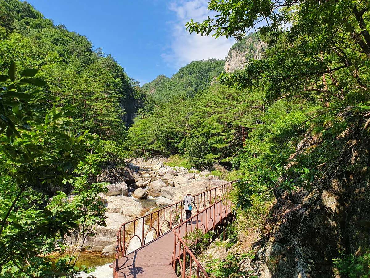 소금강 계곡을 가로지르는 탐방로