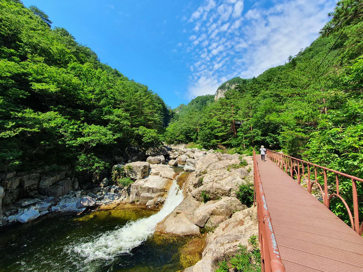 오대산 소금강 계곡