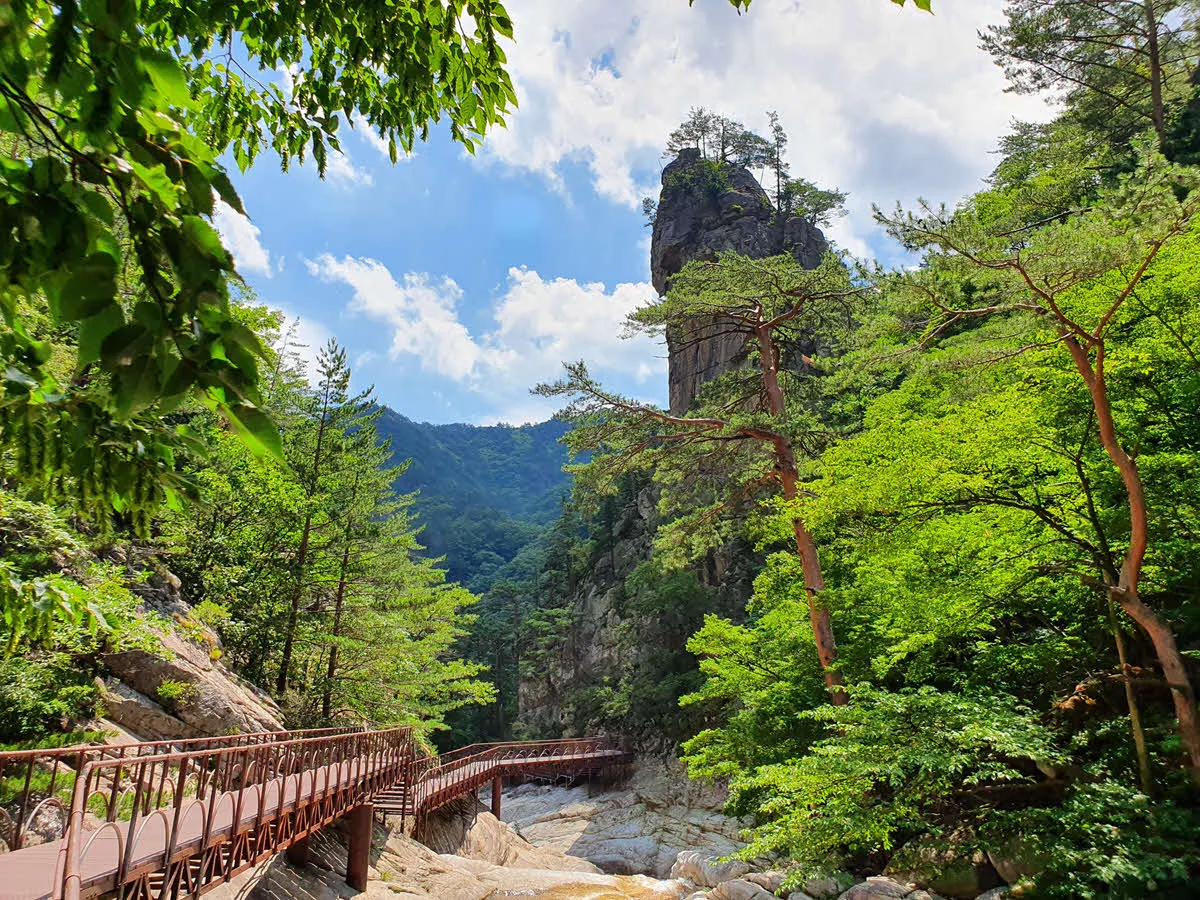 오대산 소금강 계곡과 만물상
