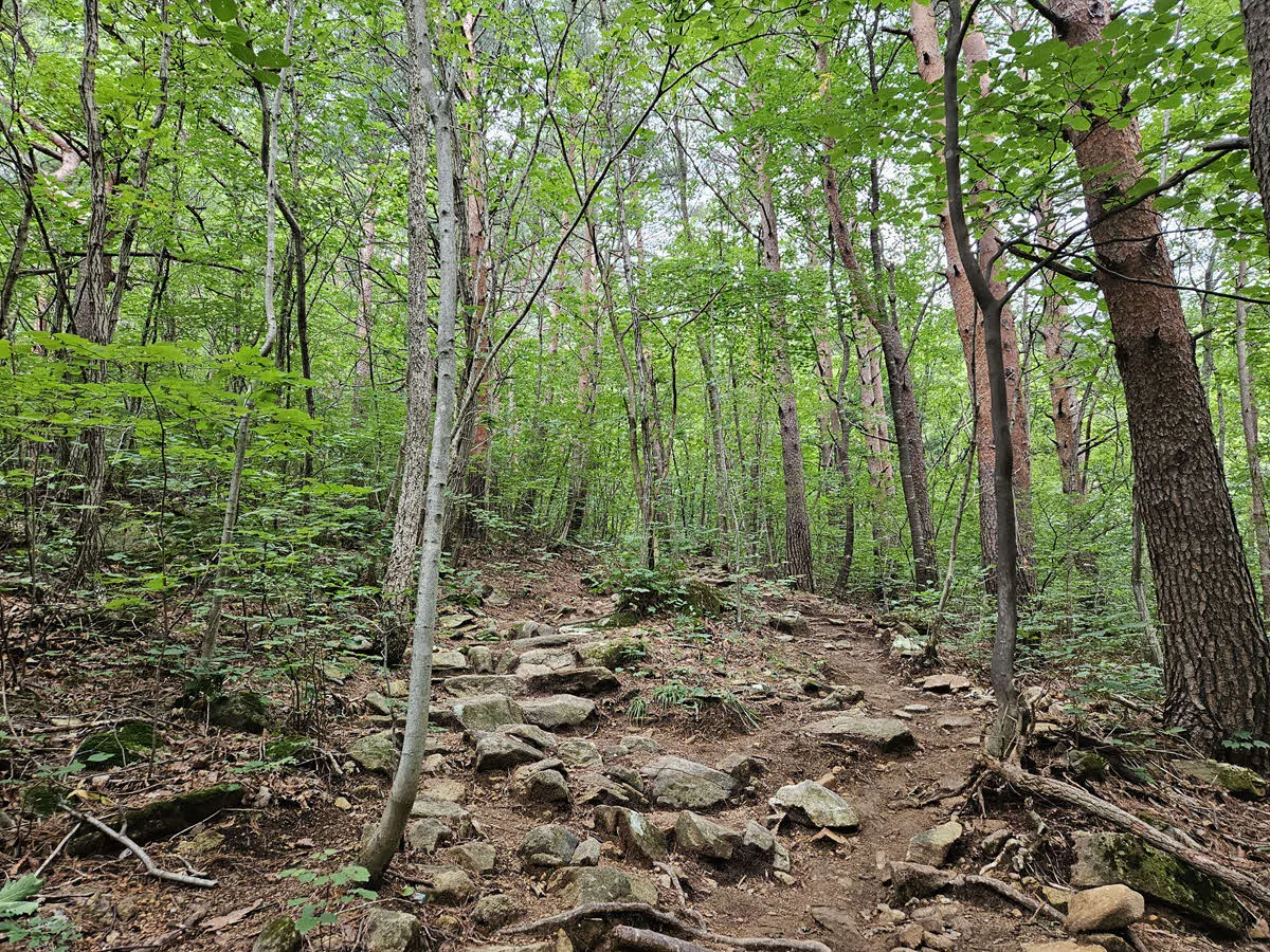 베틀바위 가는 길