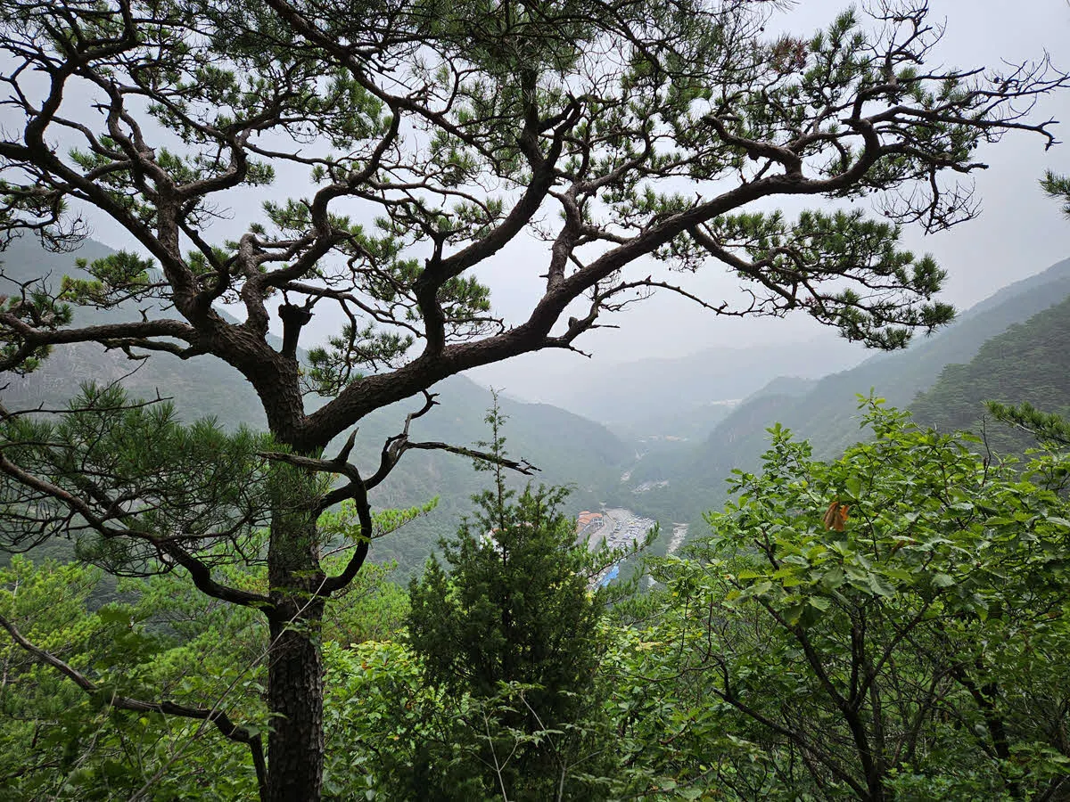 베틀바위 오르는 길