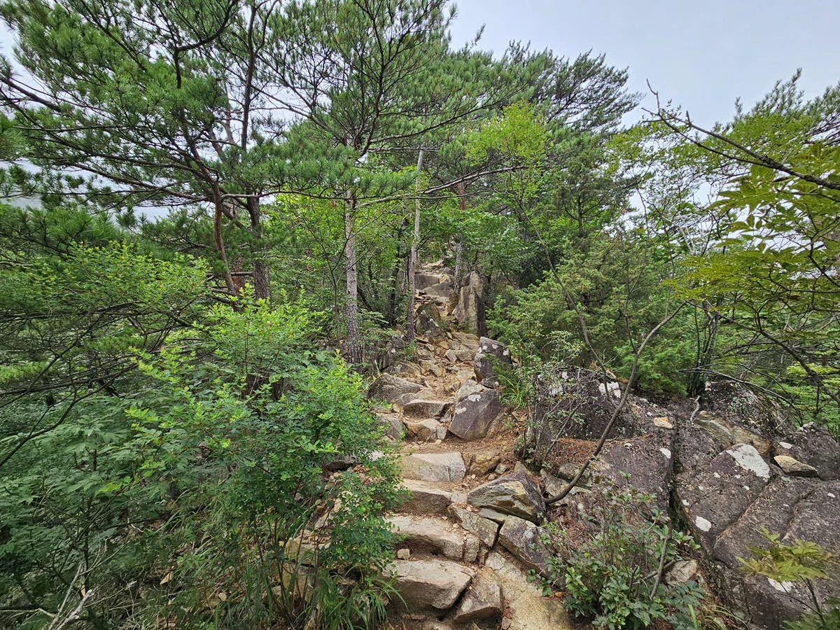 베틀바위 가는 능선길