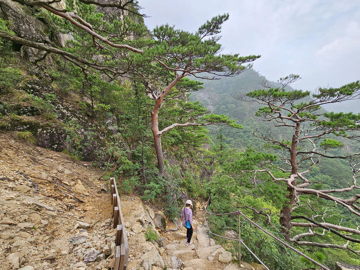 베틀바위 아래를 지나는 길