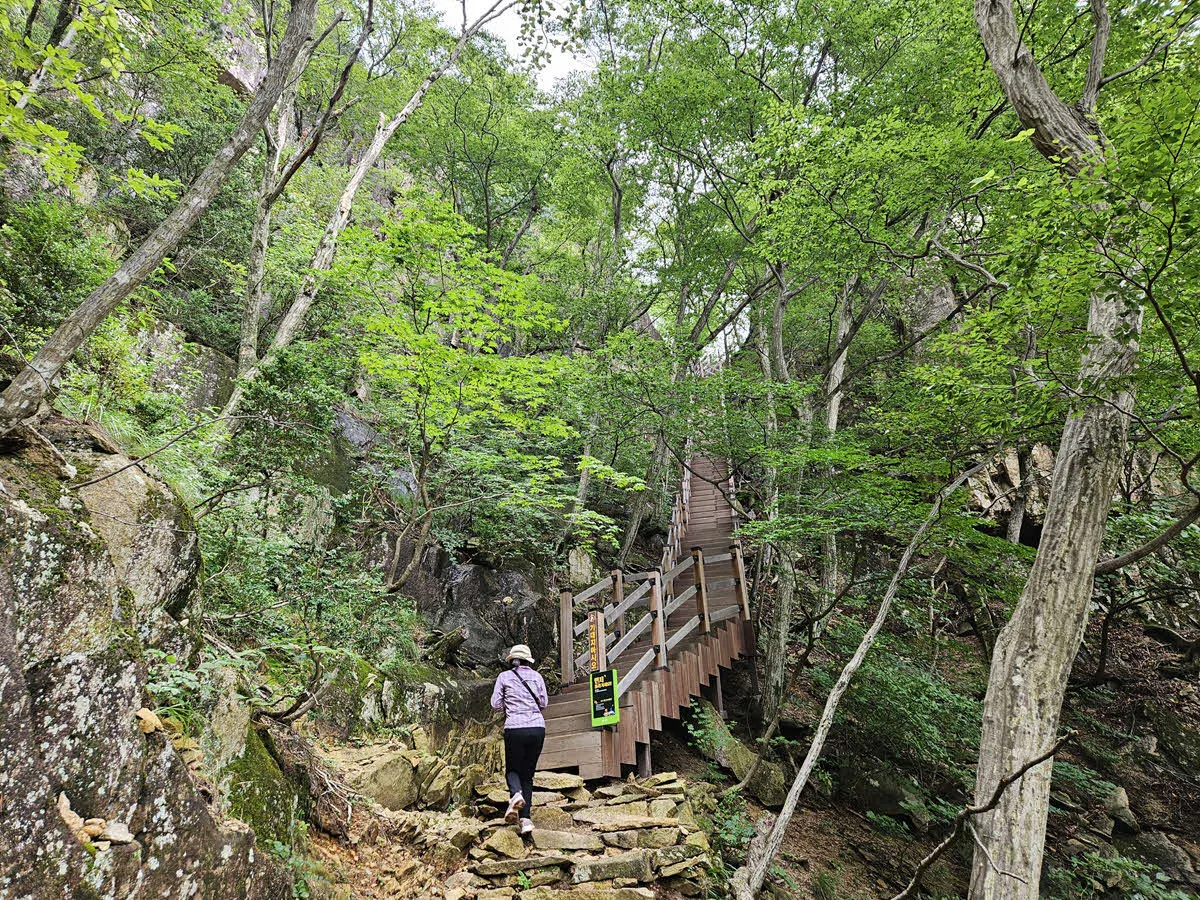 베틀바위 전망대에 오르느는 계단