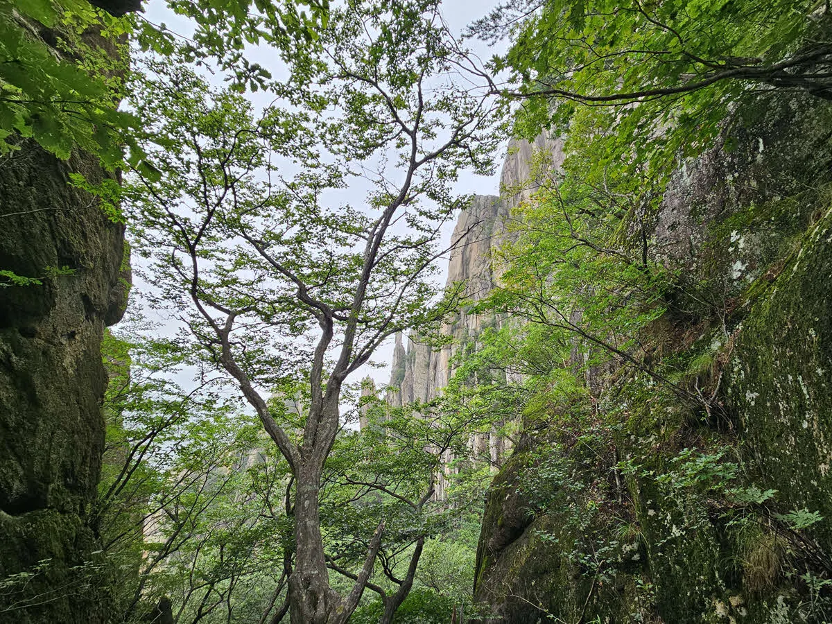 베틀바위 전망대 계단에서 바라본 베틀바위