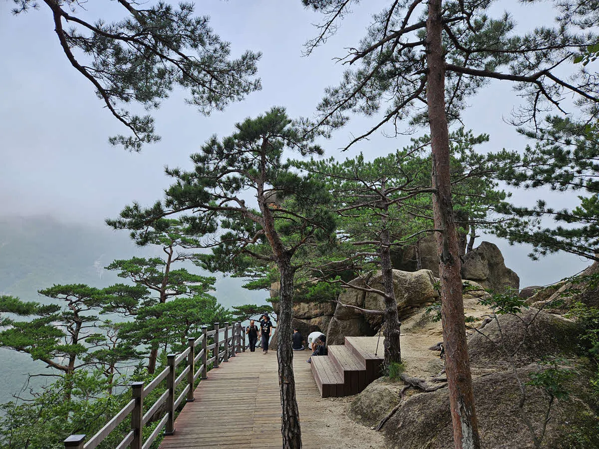 베틀바위 전망대 도착