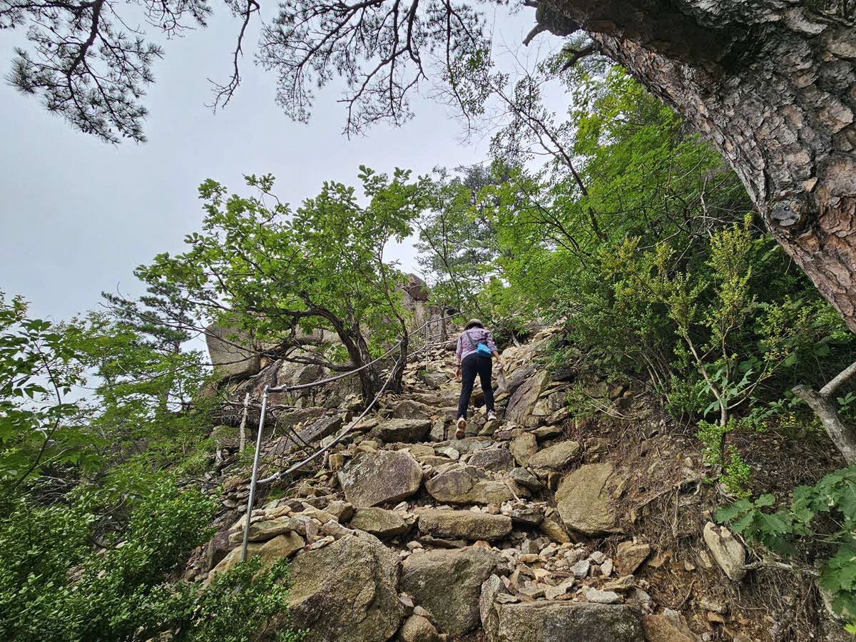 미륵바위로 가는 길