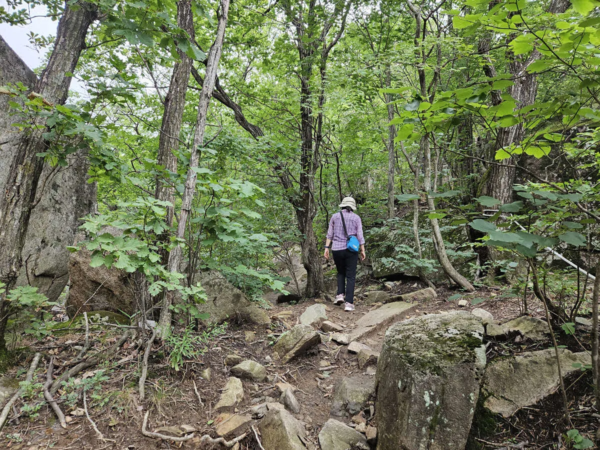 두타산 협곡 마천루 가는길