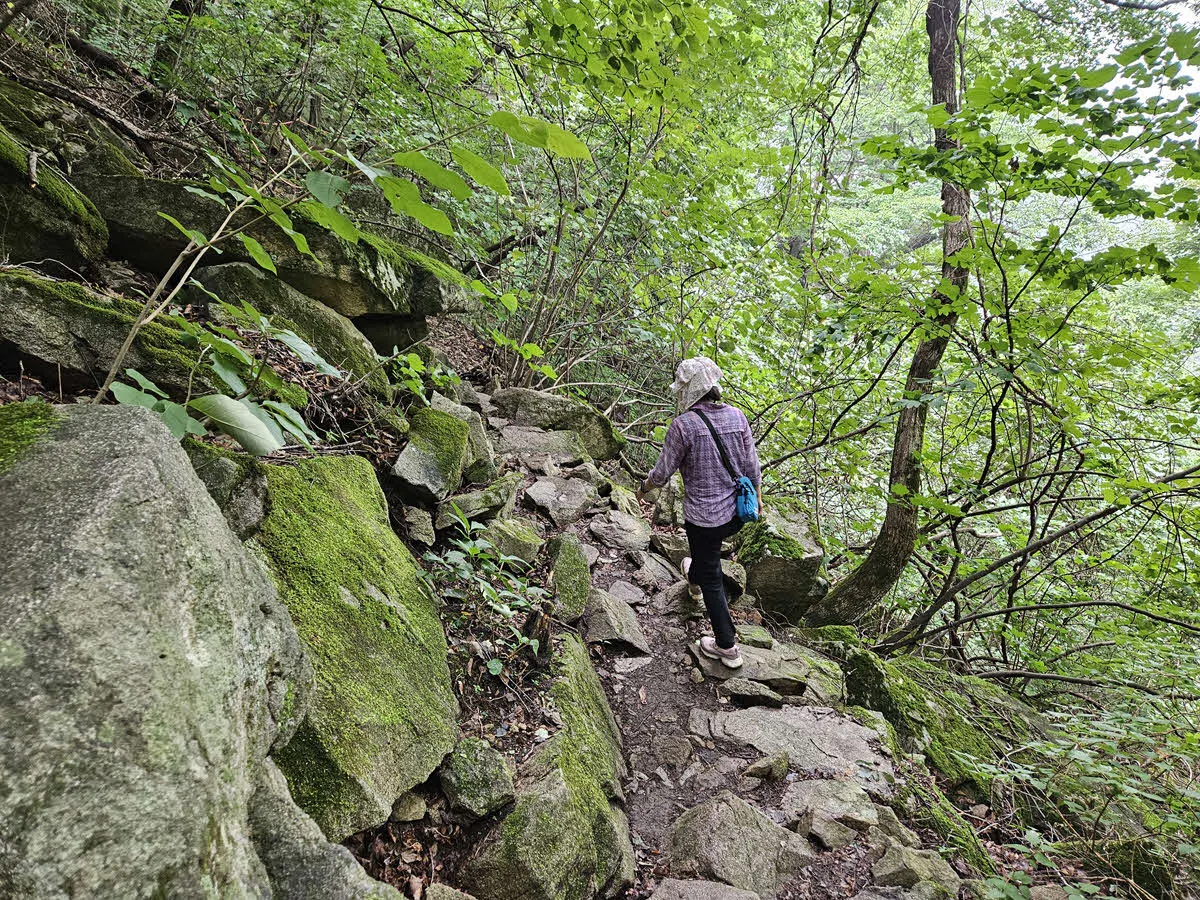 두타산 협곡 마천루 가는 길