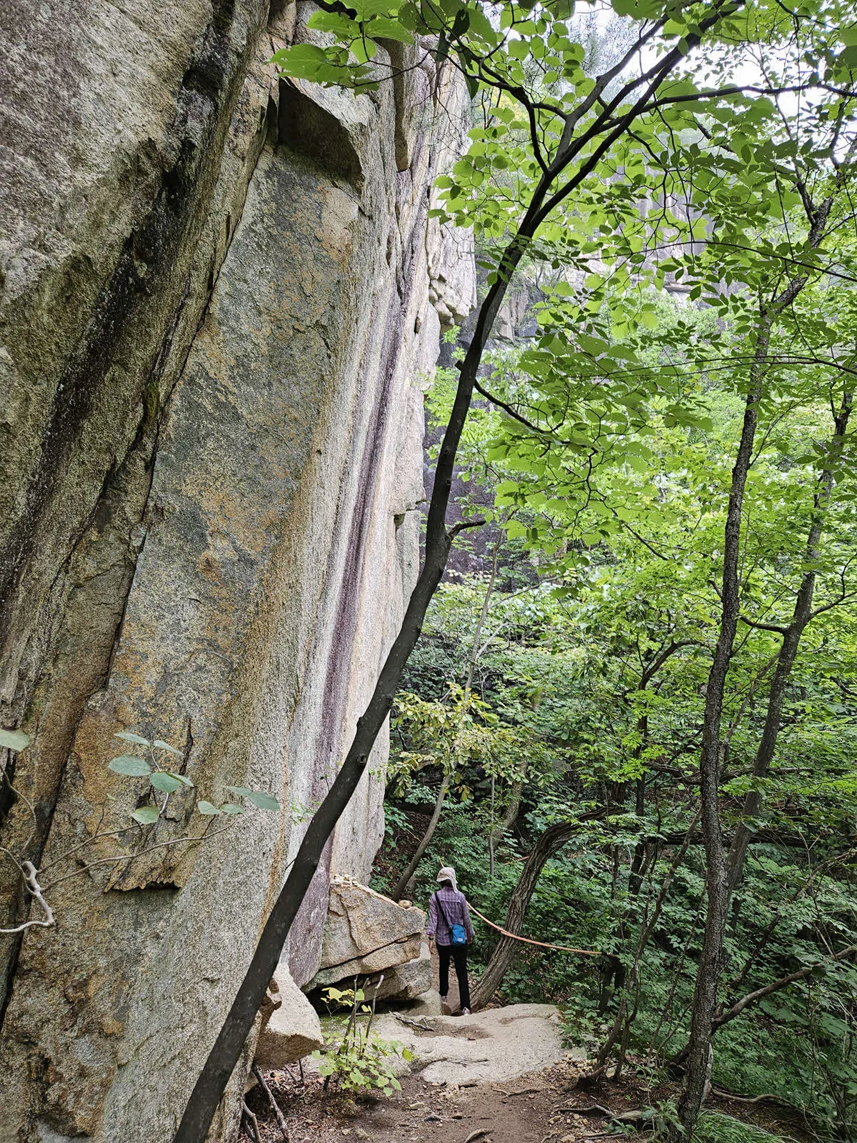 기암절벽 아래를 지나는 길