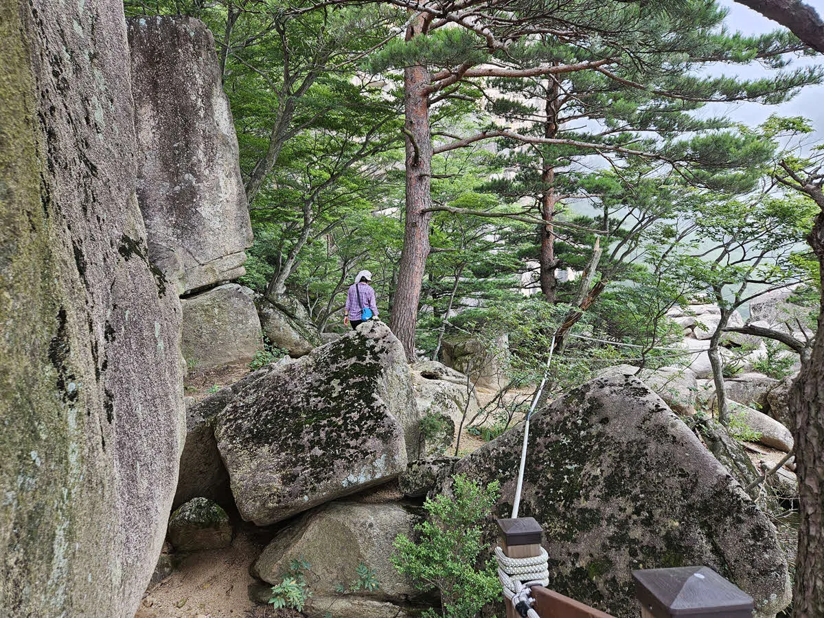 두타산 협곡 마천루 데크길 가는 길