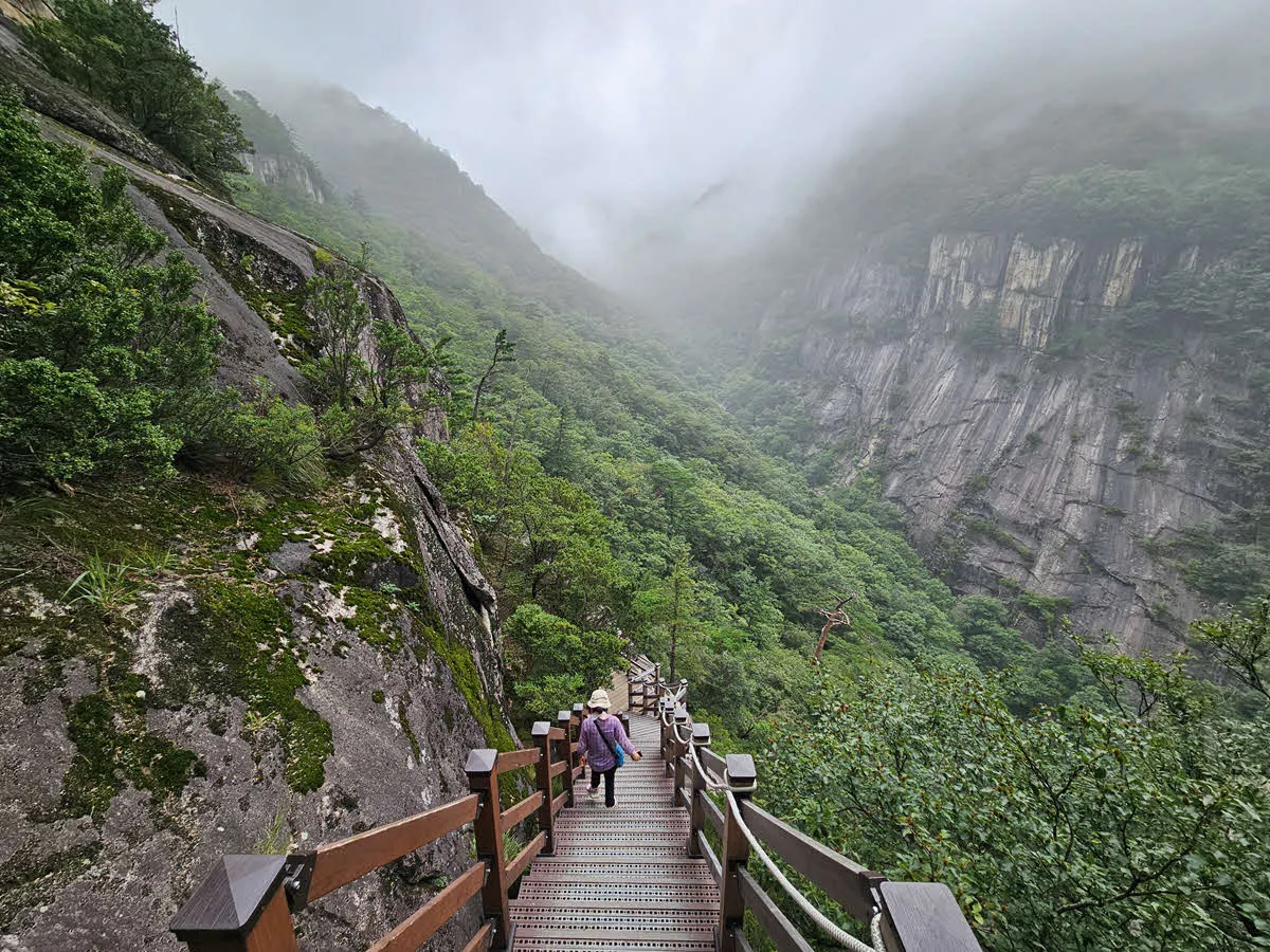 두타산 협곡 마천루 데크길 시작점