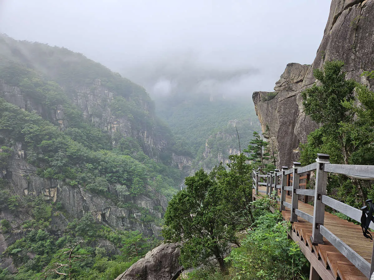 두타산 협곡 마천루 풍경