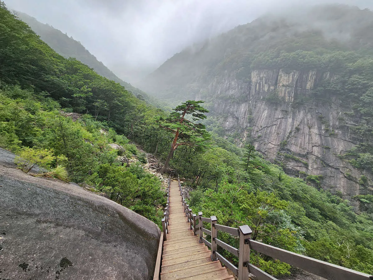 두타산 협곡 마천루