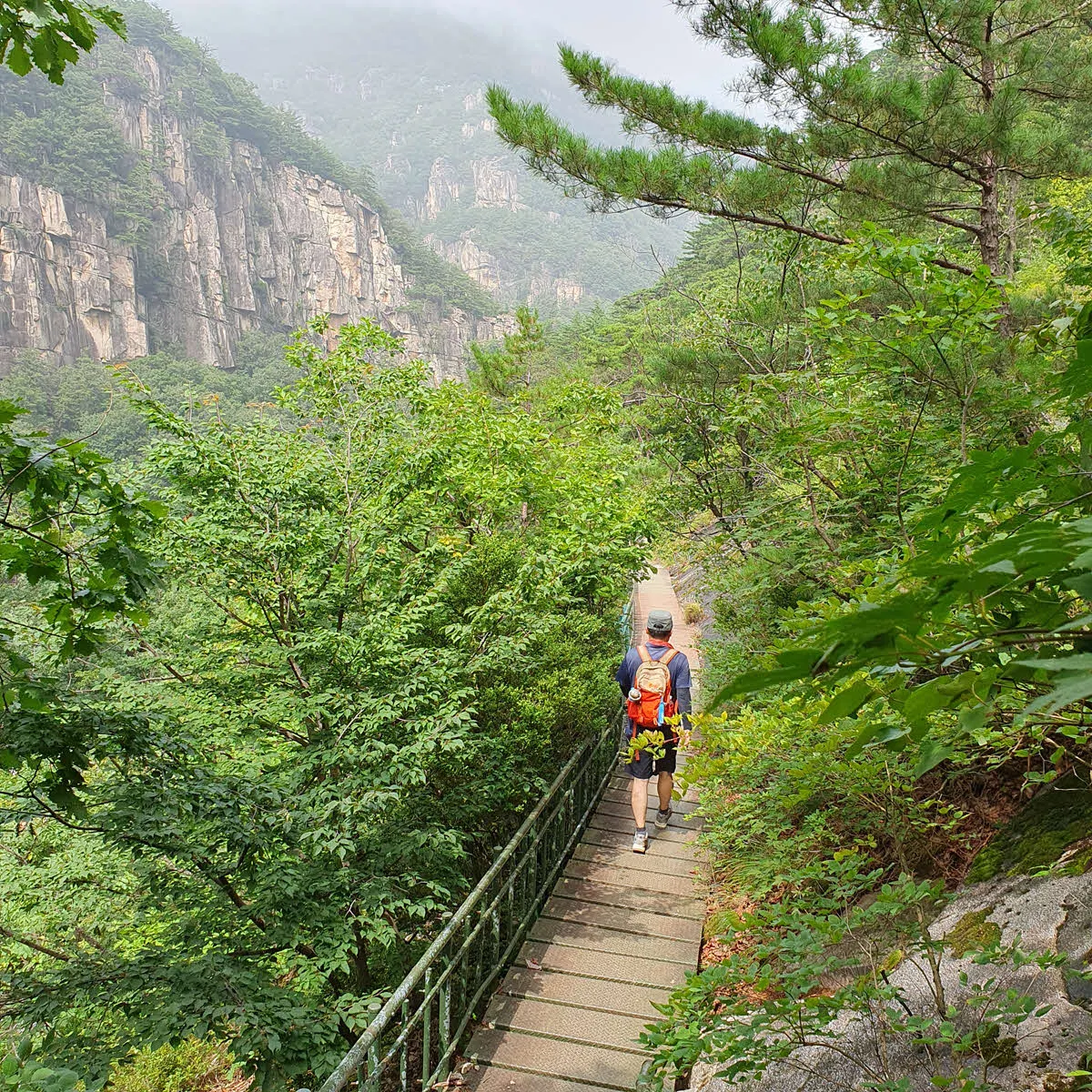 쌍폭포 가는 길