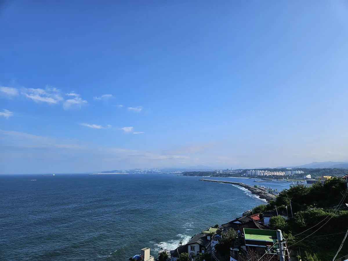 묵호등대에서 바라본 묵호항 방면