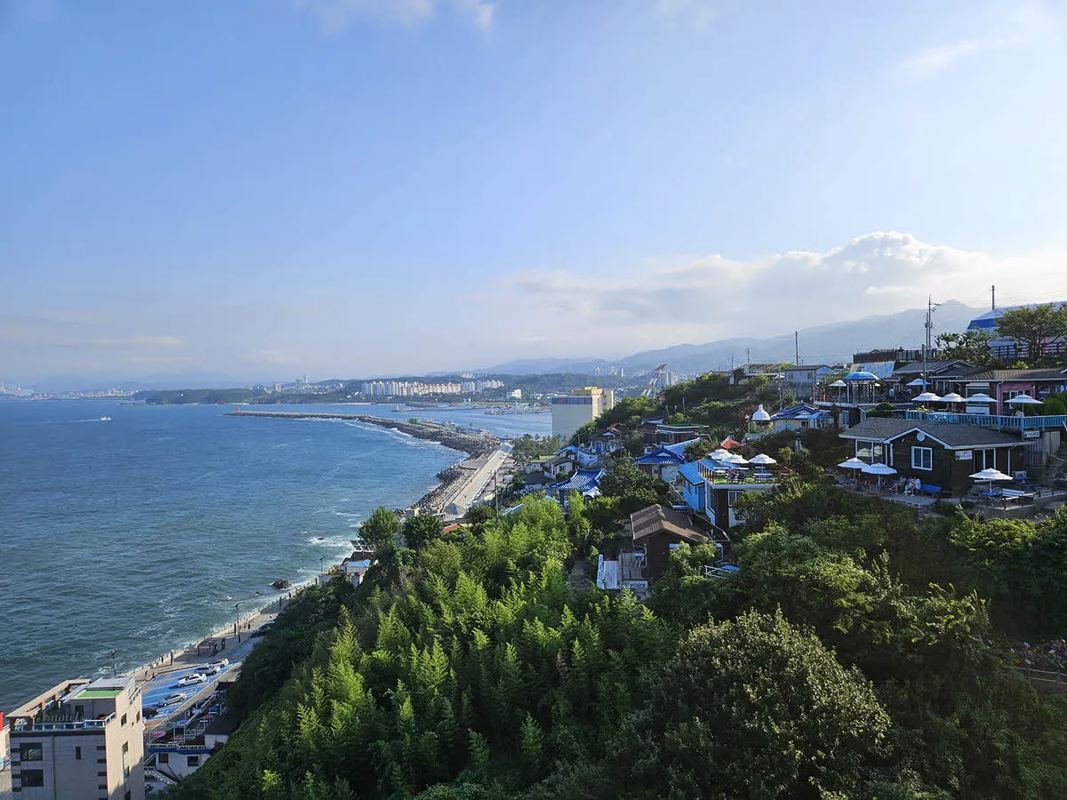 묵호등대 언덕에 있는 카페들