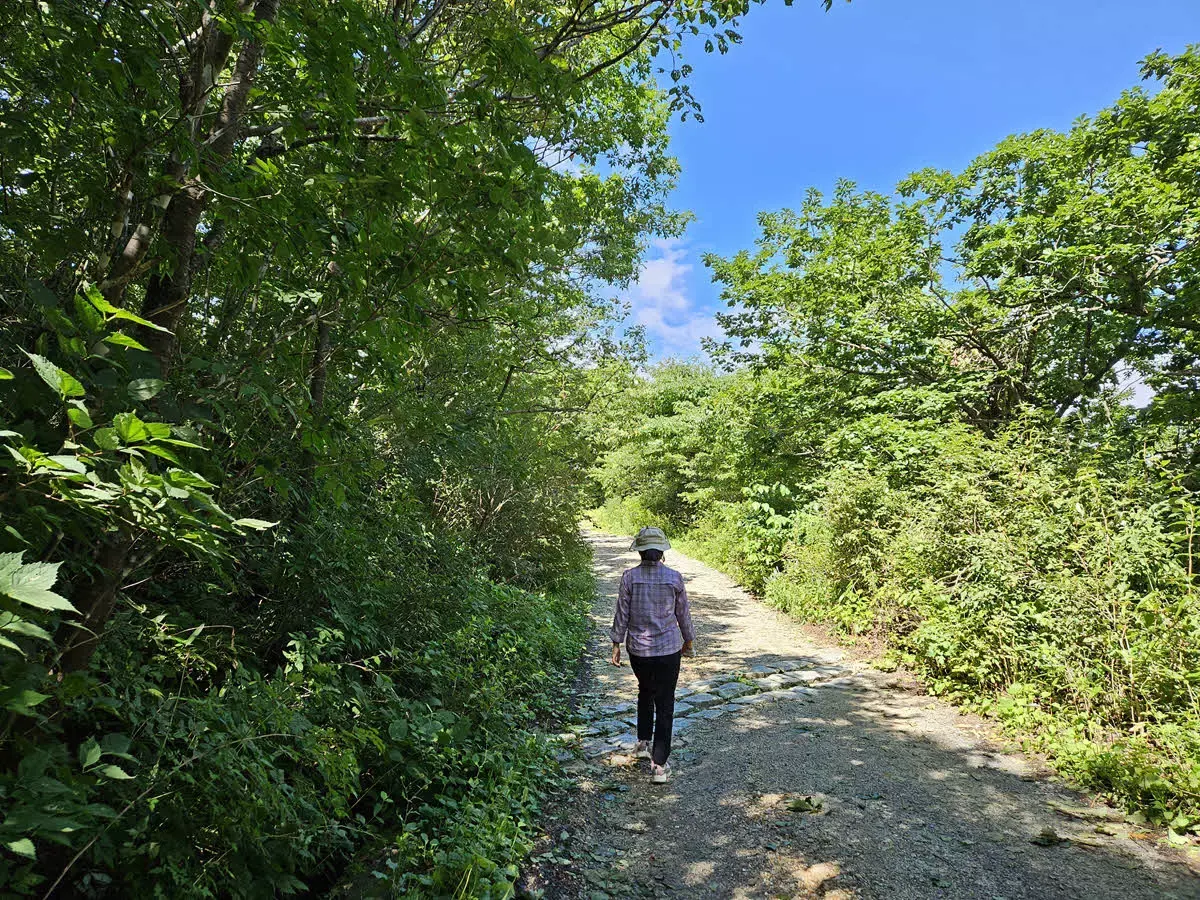 성삼재에서 노고단 오르는 길