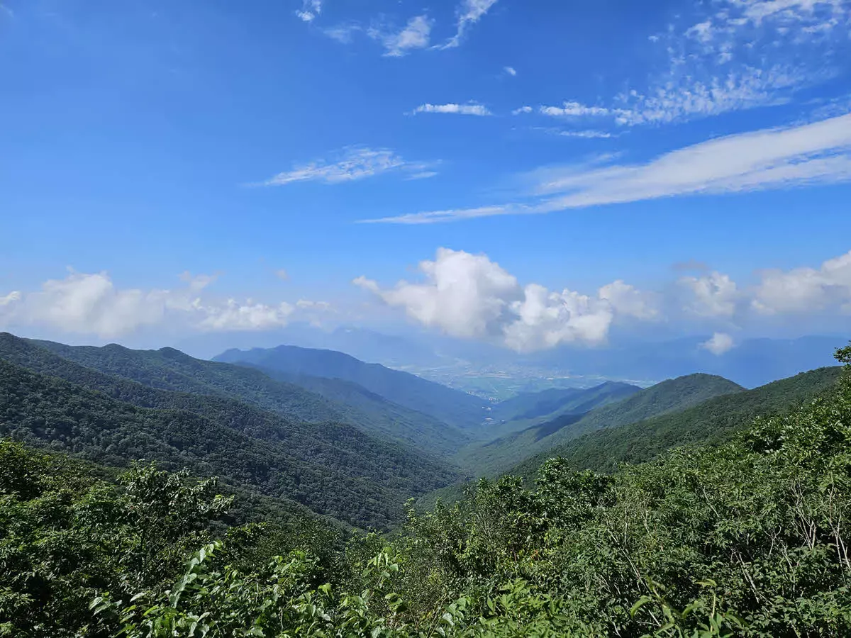 무넹기에서 바라본 화엄사 방면