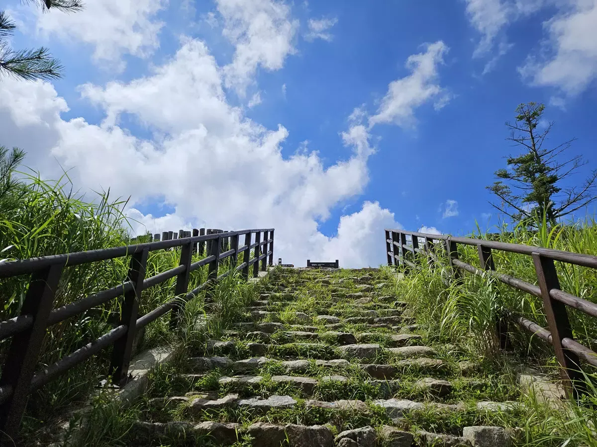 백두대간 정령치 고개 올라가는 계단