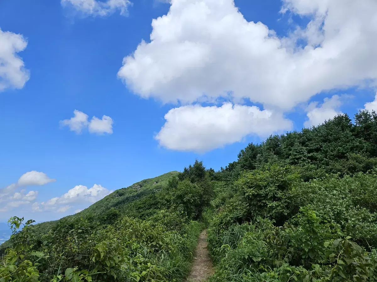 정령치에서 고리봉 가는 시작구간