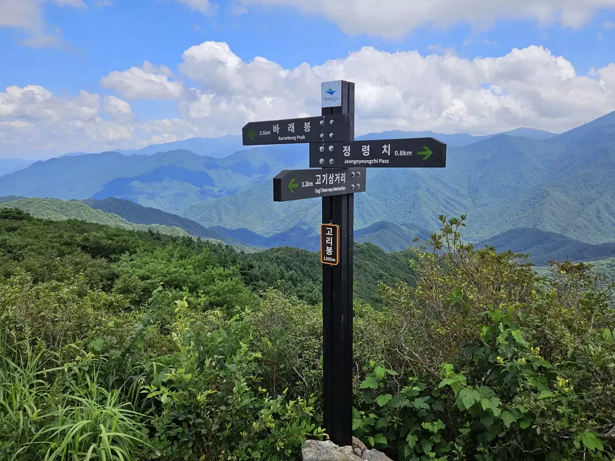 지리산정령치-고리봉 (백두대간)