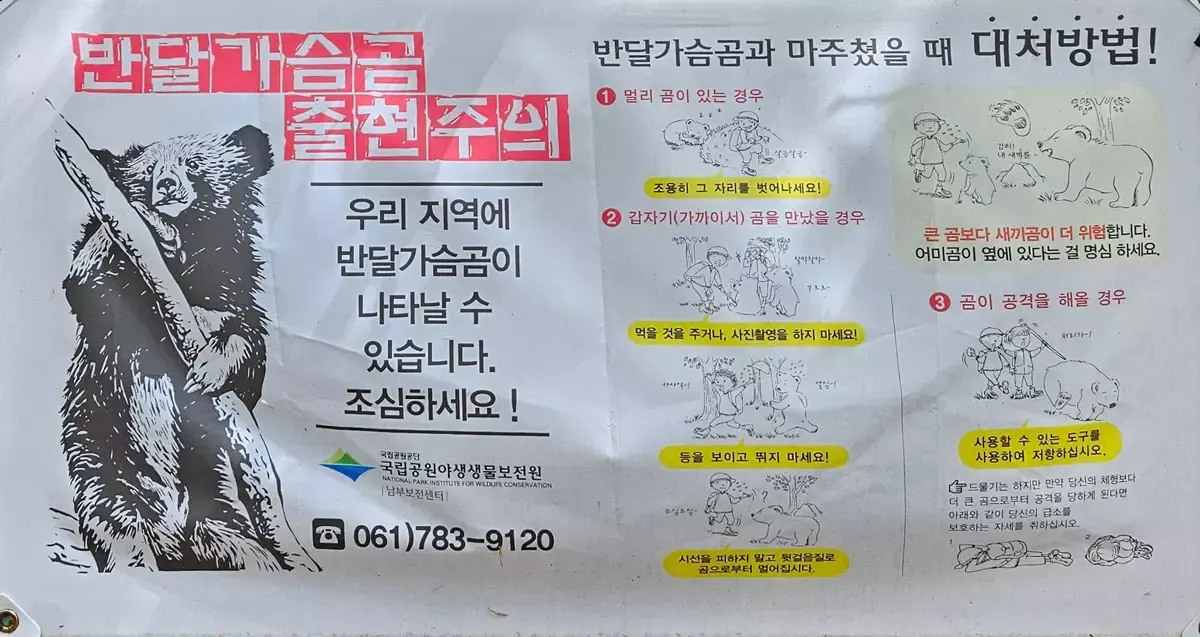 지리산에서 반달곰을 만났을 때 행동요령
