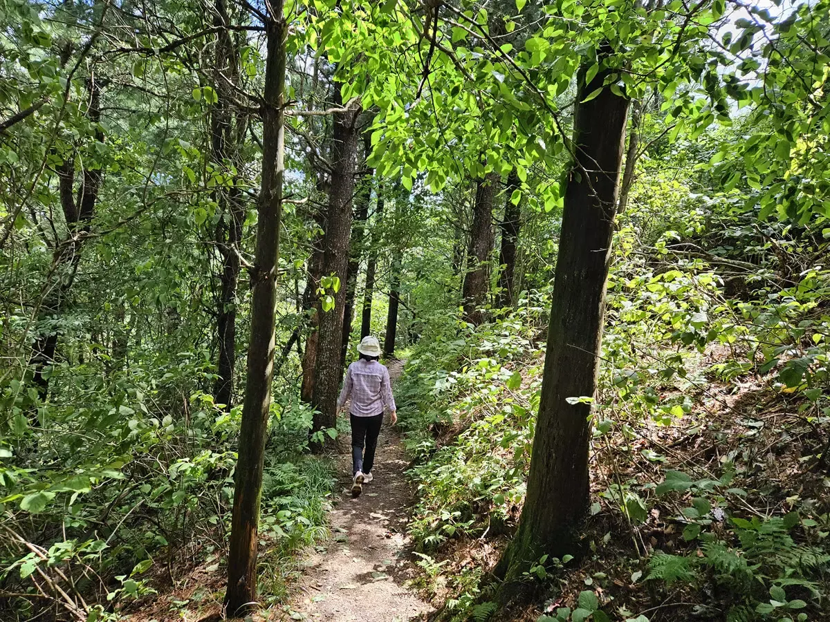 지리산정령치-고리봉