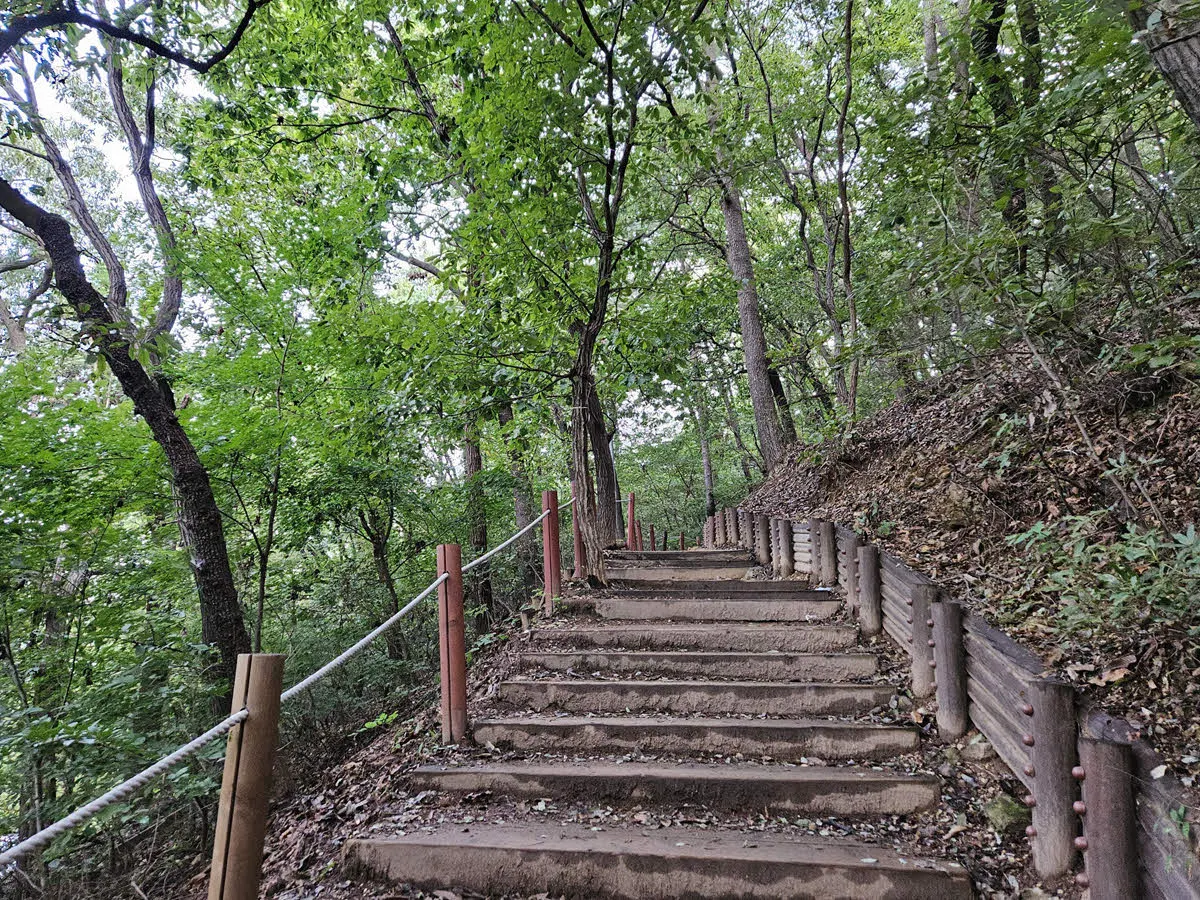 광교산 형제봉 가는 길