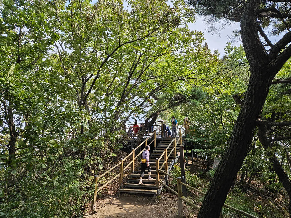 광교산 정상(시루봉) 전망데크