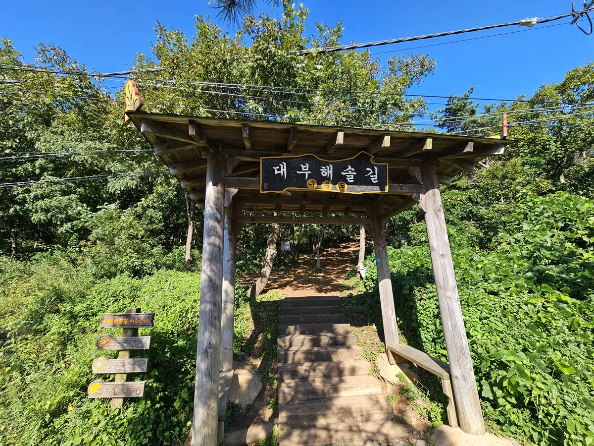 대부해솔길 구봉도 구간