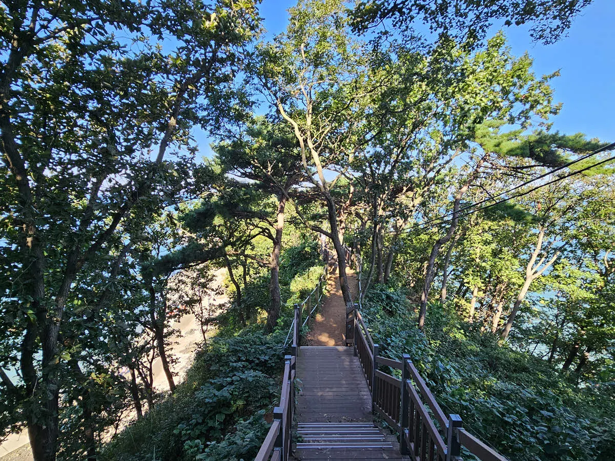 구봉도의 개미허리 능선