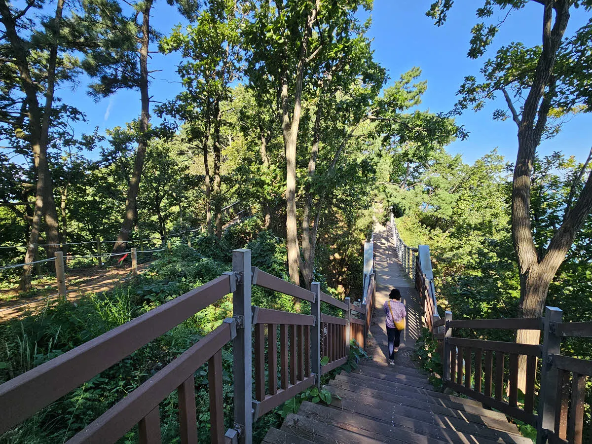 구봉도 대부해솔길 1코스 출렁다리