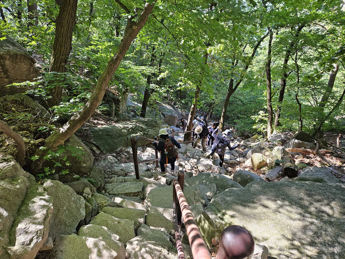 선인쉼터 오르는 험한길