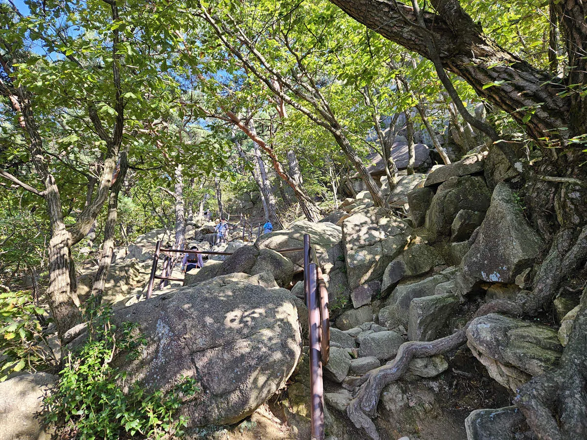 자운봉 가는 길